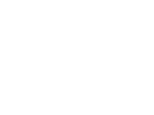 Icon Ticket